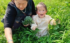 日本亚洲欧洲免费旡码